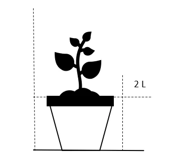 Russisk Salvie 'Lacey Blue' Perovskia Atriplicifolia 'Lacey Blue' Potte 2 Liter. 2 Russisk Salvie 'Lacey Blue' Perovskia Atriplicifolia 'Lacey Blue' Potte 2 Liter. - Billede 2