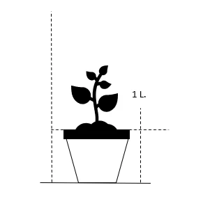 Orange-Silkeplante Asclepias Tuberosa 1 Liter Potte 2 Orange-Silkeplante Asclepias Tuberosa 1 Liter Potte - Billede 2