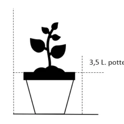 Tilbud Lys Haven Butik -Tilbud Lys Haven Butik 42 3 5 liter potte cb7d 28
