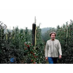 Kristtorn Ilex Aquifolium Med Klump,- 150-175 Cm. -Tilbud Lys Haven Butik fi15282 ilex aquifolium 2710