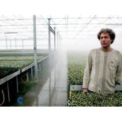 Kristtorn Ilex Aquifolium Med Klump,- 150-175 Cm. -Tilbud Lys Haven Butik fi15282 ilex aquifolium 56c6