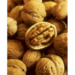 Almindelig Valnød Juglans Regia Heister 200-250 Cm. Med Potte -Tilbud Lys Haven Butik p1165 8160 juglans regia 734d