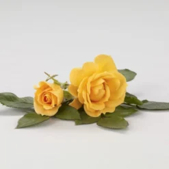 'Flaming Cover'® Rosa X 'Flaming Cover'® (Bunddækkerose) A-Kvalitet,- Barrods Roser Min. 3 Grene -Tilbud Lys Haven Butik p23637 51959 rosa x flaming cover bunddaekkerose 1d2c