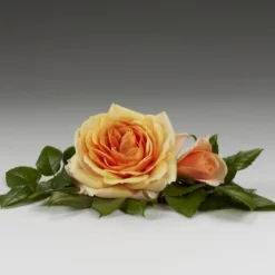 'Sarai™ Hit'® Rosa X 'Sarai™ Hit'® (Miniaturerose) A-Kvalitet,- Barrods Roser Min. 3 Grene -Tilbud Lys Haven Butik p35436 52057 rosa x sarai hit miniaturerose 7fbd