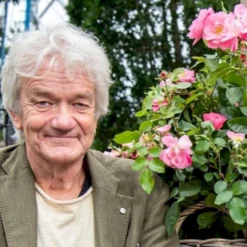 'Lars Lilholt' Rosa X 'Lars Lilholt' (Buketrose) A-kvalitet,- Pottede Roser